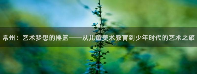 fh至尊官方网站