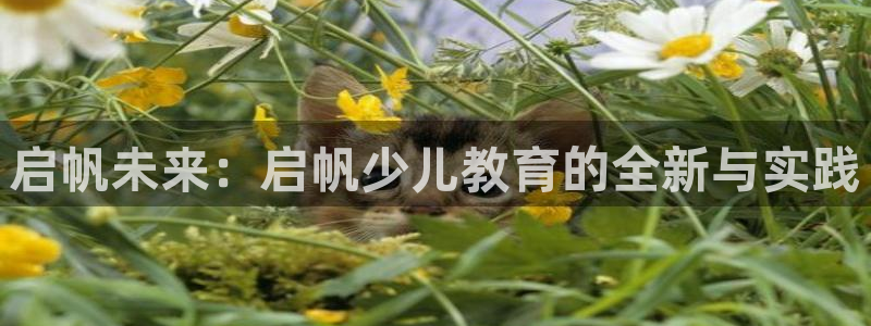 fh至尊app靠谱吗