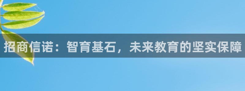 fh 至尊