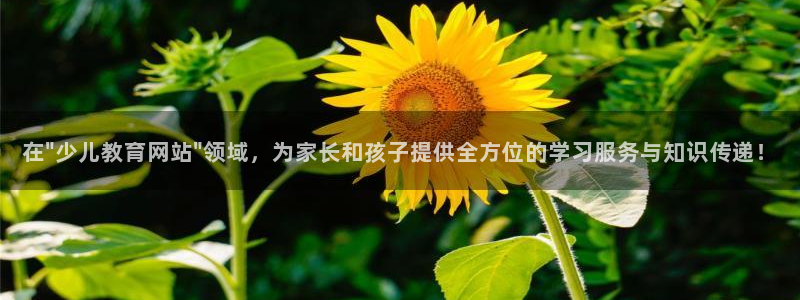fh至尊提现不了