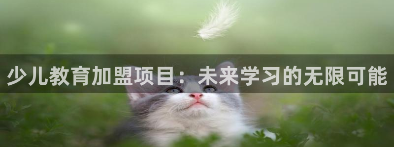 fh至尊游戏客服