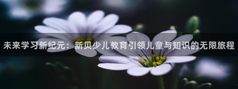 fh至尊品牌介绍