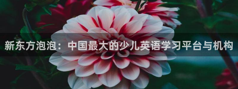 fh至尊平台简介