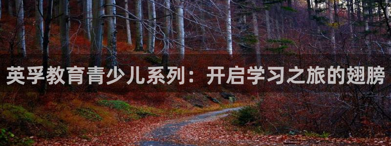 FH至尊怎么样