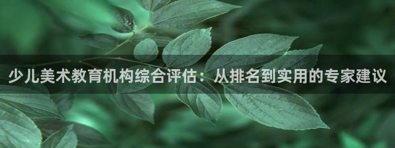 FH至尊平台怎么样