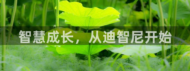 FH至尊app