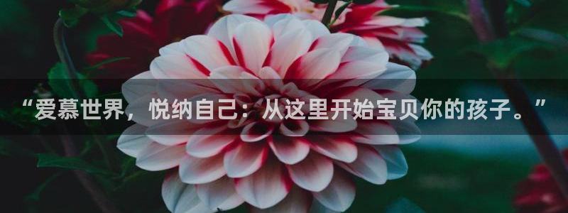 fh至尊凤凰代理