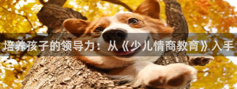 fh至尊平台如何提现