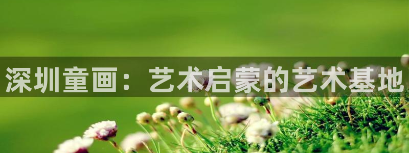 FH至尊隶属哪家公司