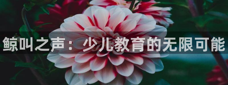 fh至尊怎么登录