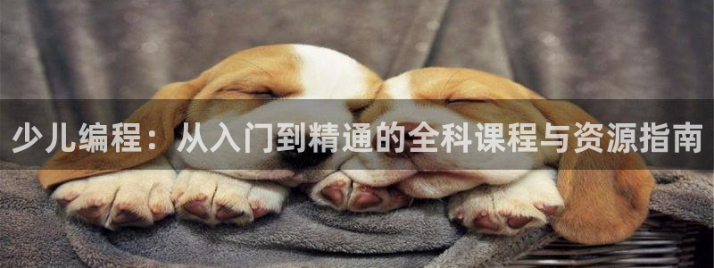 fh至尊平台简介