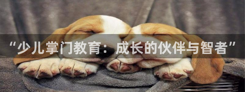 FH至尊平台老板是谁