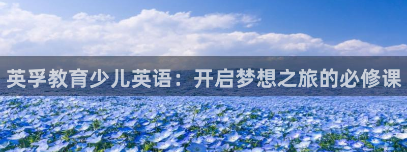FH至尊怎么样