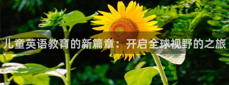 fh至尊多少年了