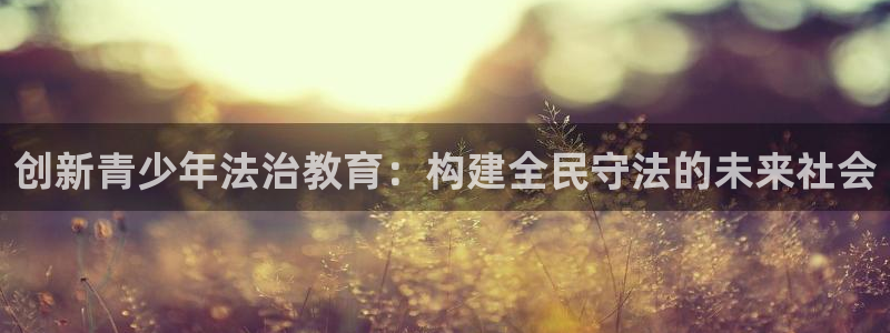 FH至尊VIP
