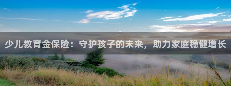 fh至尊品牌介绍