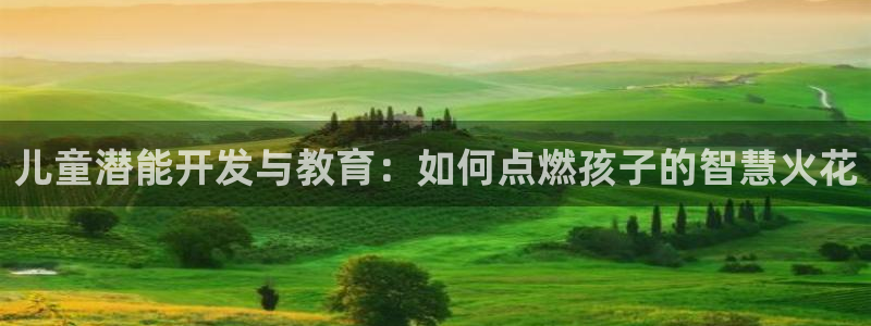 FH至尊隶属哪家公司