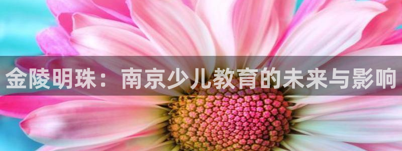 fh至尊在哪个平台