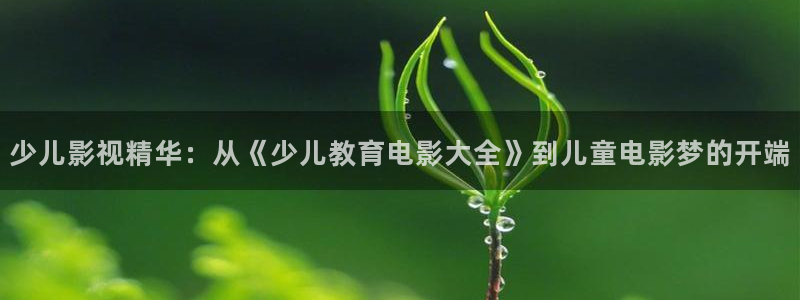 FH至尊是什么