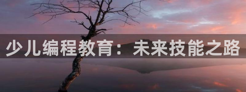 fh至尊注册码怎么获取