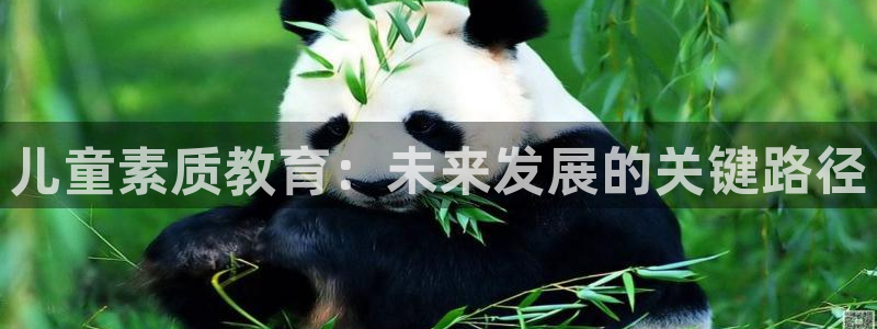 FH至尊平台怎么样