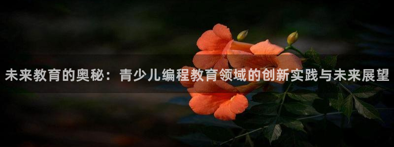 FH至尊出问题了