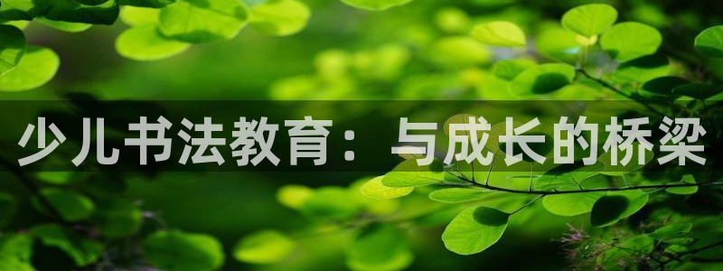 fh至尊正常登录