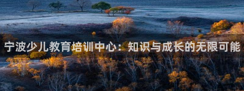 FH至尊属于哪里啊公司