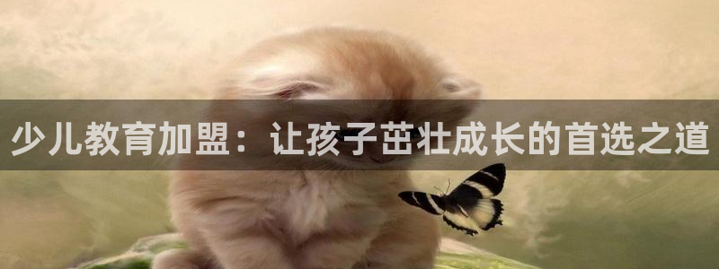 fh至尊官方旗舰店