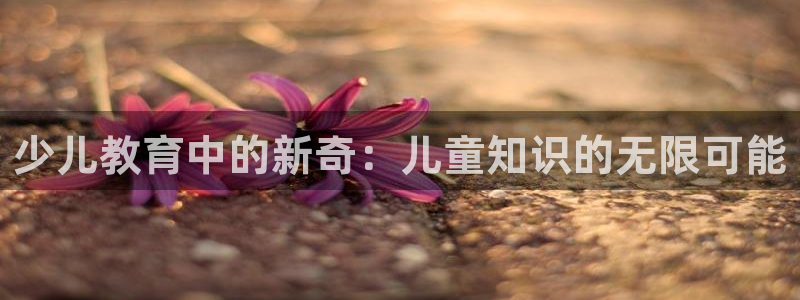 fh至尊 华娱124.com