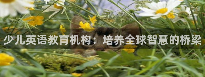 fh至尊平台登录注册