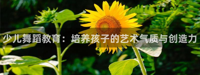 fh至尊是什么牌子