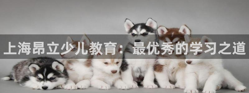 fh至尊凤凰官方旗舰店