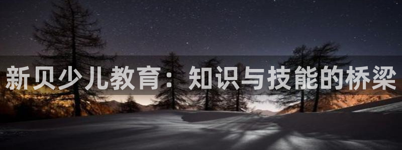 fh至尊正常登录