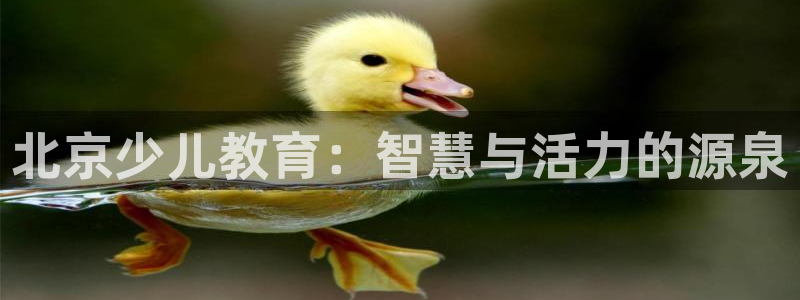 fh至尊品牌介绍