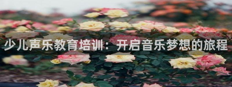 FH至尊平台是什么平台