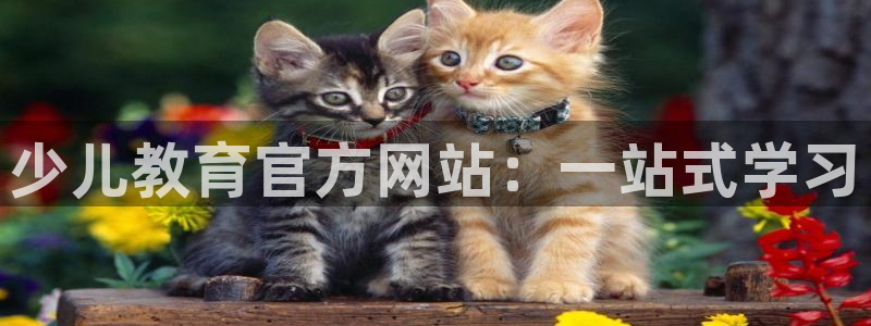 fh至尊平台坑人的原因