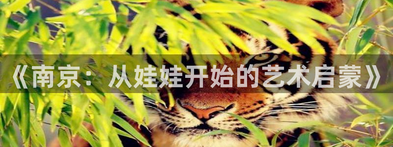 fh至尊平台如何提现