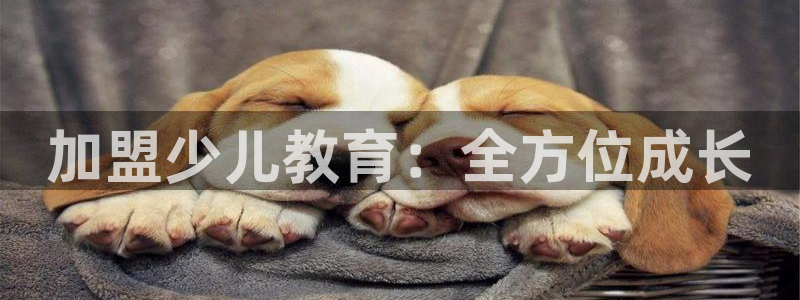 FH至尊信誉怎么样