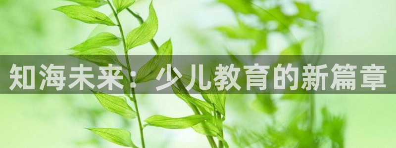 fh至尊为什么不更新了