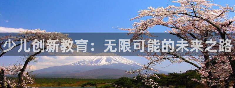 FH至尊属于哪里啊公司